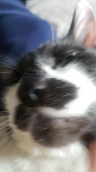 ▶ 90k 💙 43.5k 💬 10.4k